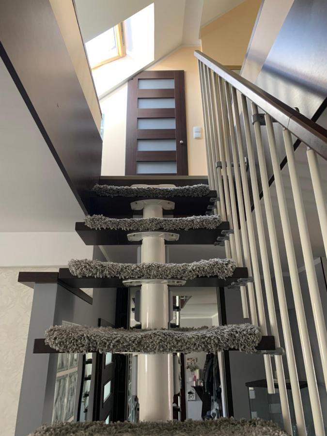Silver Mazury Apartament ギジツコ エクステリア 写真