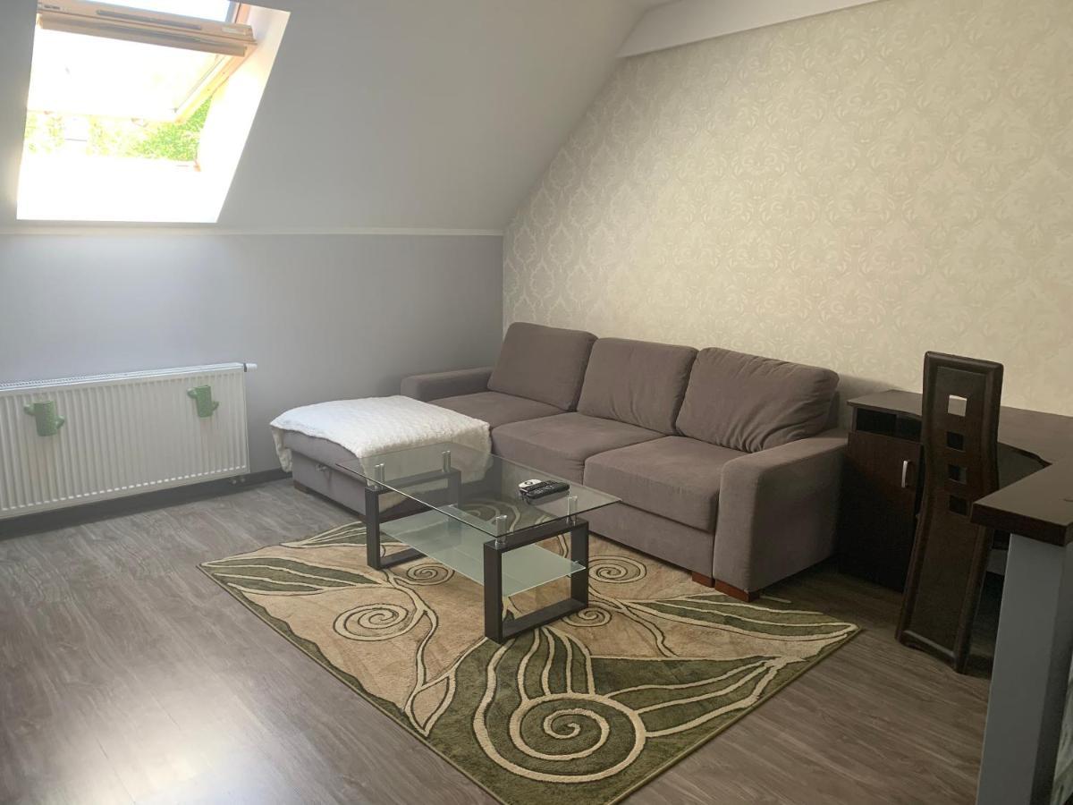 Silver Mazury Apartament ギジツコ エクステリア 写真